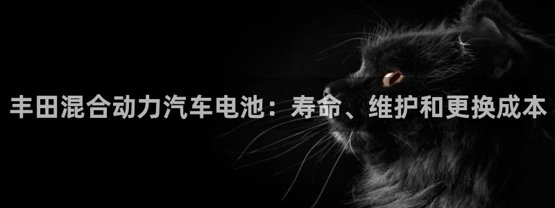 优发国际网官网17o8