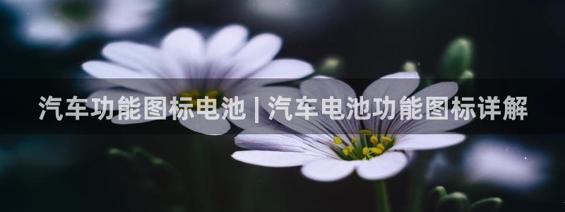 优发国际官网网站：汽车功能图标电池 | 汽车电池功能图标详解