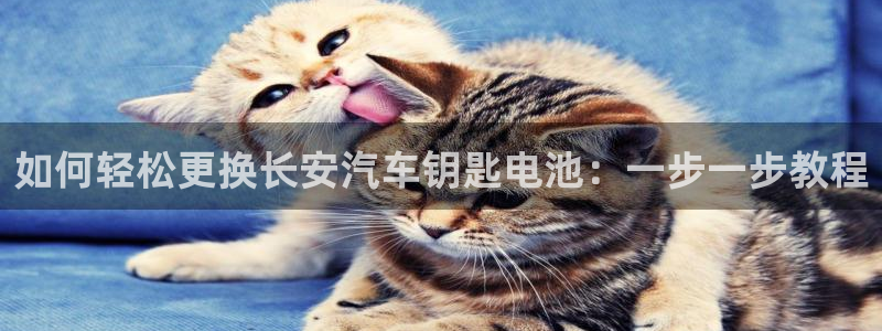 优发国际多少