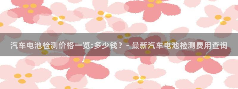 优发国际手机登录下载安装：汽车电池检测价格一览:多少钱？- 最新汽车电池检测费用查询