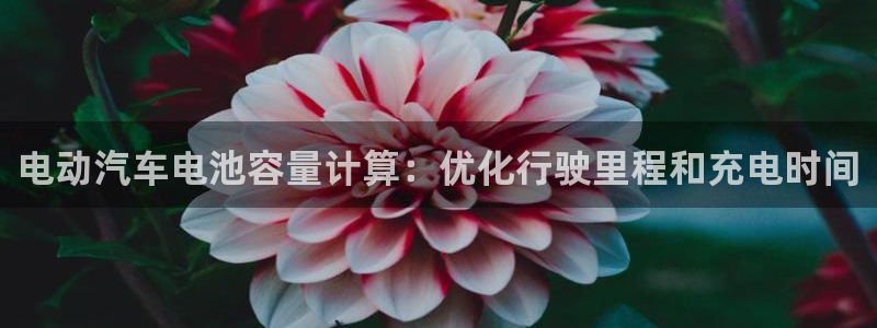 优发国际网官网17o8