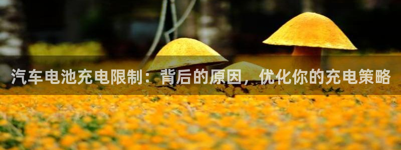 优发国际官网qy88