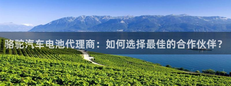 优发国际这个平台怎么样知乎
