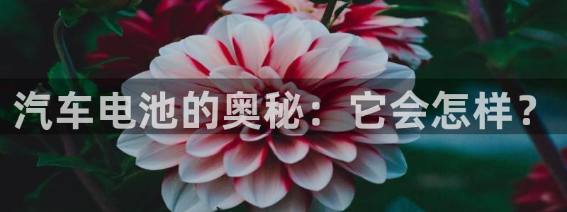 优发国际官网,首页：汽车电池的奥秘：它会怎样？