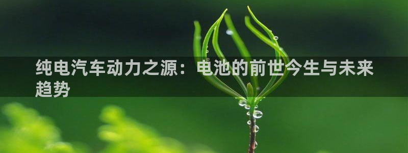 优发国际手机版唯一官网是什么