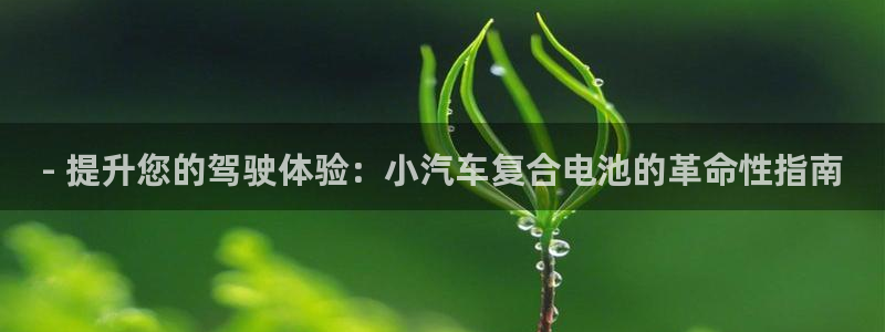 优发国际官网手机版：- 提升您的驾驶体验：小汽车复合电池的革命性指南