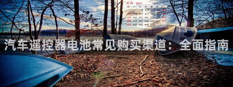 优发国际网官：汽车遥控器电池常见购买渠道：全面指南