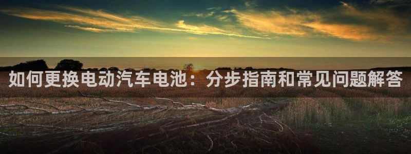 优发国际客服联系方式是什么：如何更换电动汽车电池：分步指南和常见问题解答