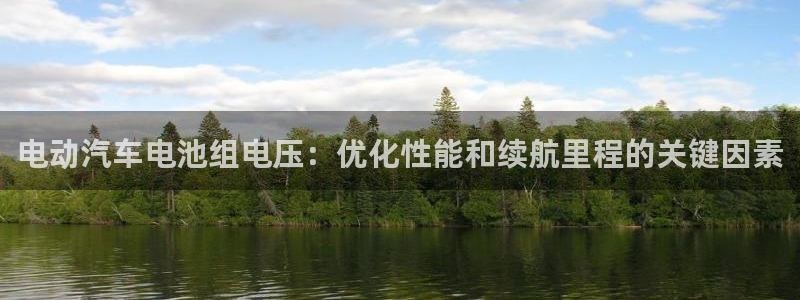 优发国际官网手机版入口：电动汽车电池组电