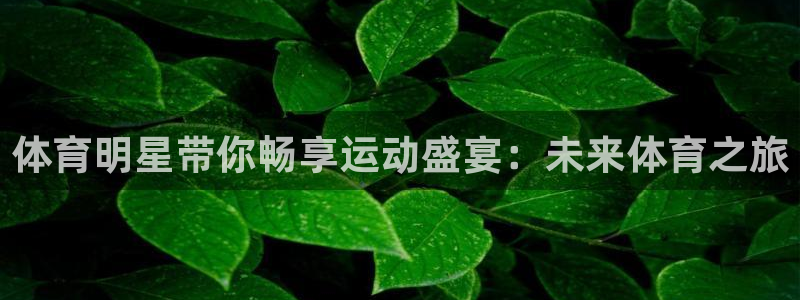 k1体育平台下载：体育明星带你畅享运动盛宴：未来体育之旅