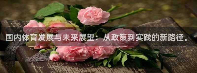 k1体育平台最新网站下载：国内体育发展与未来展望：从政策到实践的新路径。