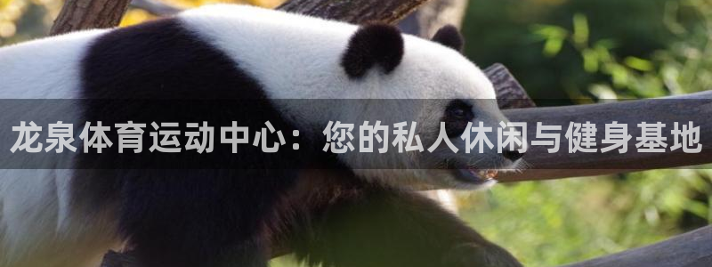 k1体育十年品牌：龙泉体育运动中心：您的私人休闲与健身基地