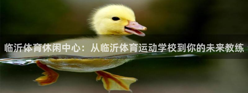 k1体育网站登录官网：临沂体育休闲中心：从临沂体育运动学校到你的未来教练