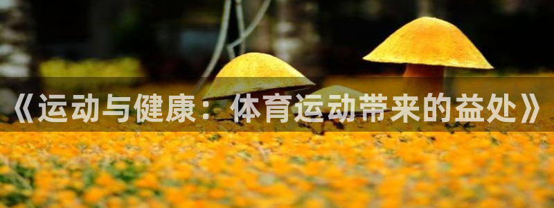 k1体育十年登录入口：《运动与健康：体育运动带来的益处》