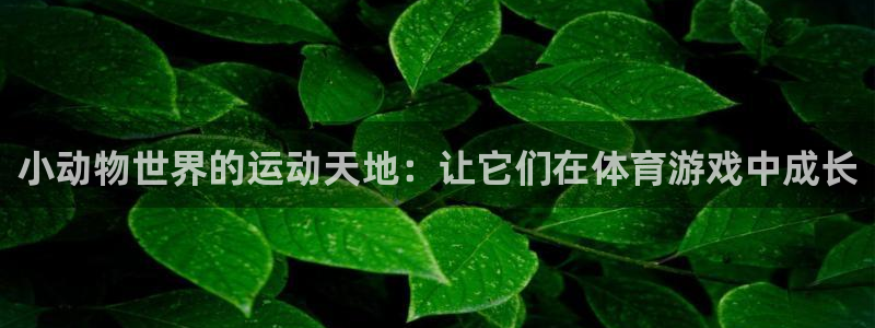 k1体育平台3915：小动物世界的运动天地：让它们在体育游戏中成长