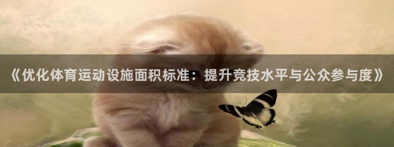 k1体育平台最新网站下载：《优化体育运动设施面积标准：提升竞技水平与公众参与度》