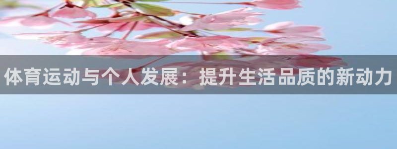 k1体育网站登录官网
