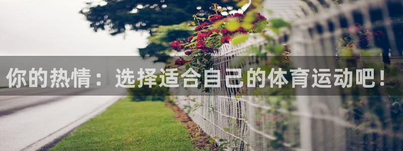 k1体育下载地址：你的热情：选择适合自己的体育运动吧！