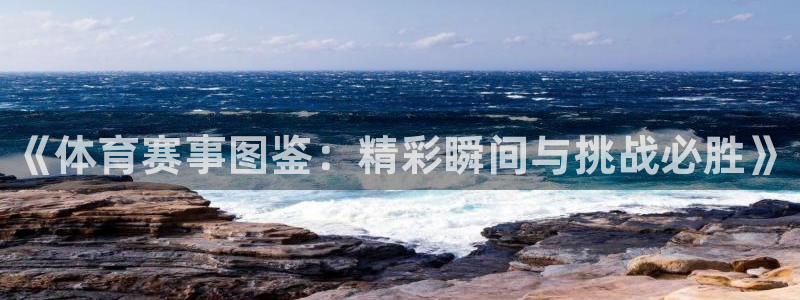k1体育十年品牌官网：《体育赛事图鉴：精彩瞬间与挑战必胜》