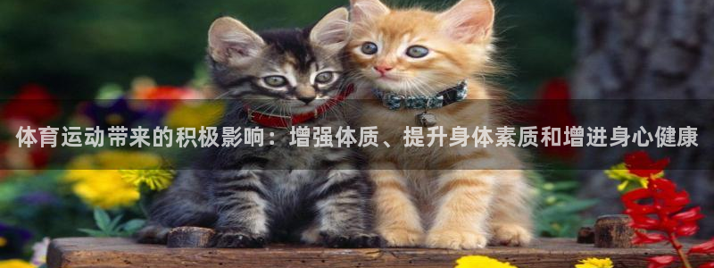 k1体育十年登录入口