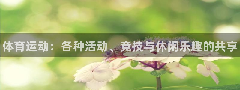 k1体育十年品牌值得信赖网址