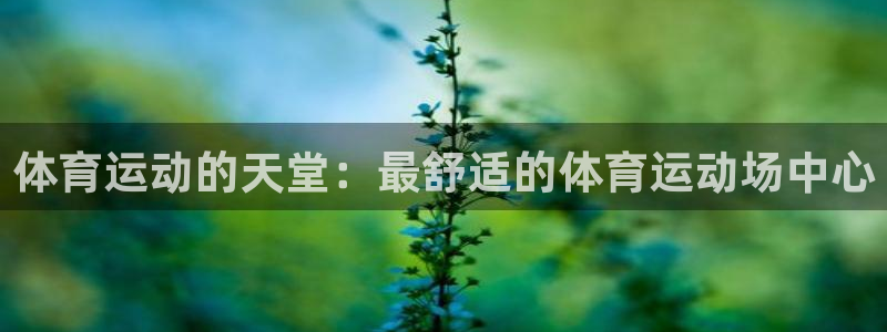 k1体育棋牌：体育运动的天堂：最舒适的体育运动场中心