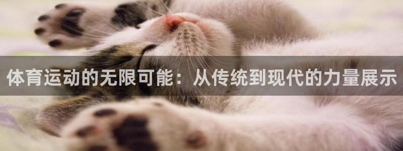 k1体育下载链接：体育运动的无限可能：从传统到现代的力量展示