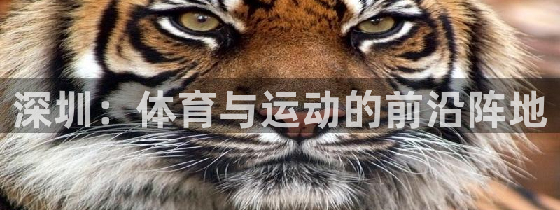 k1体育棋牌网址：深圳：体育与运动的前沿阵地