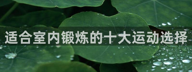 k1体育娱乐