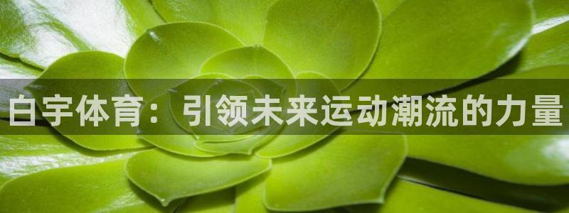 k1体育网址