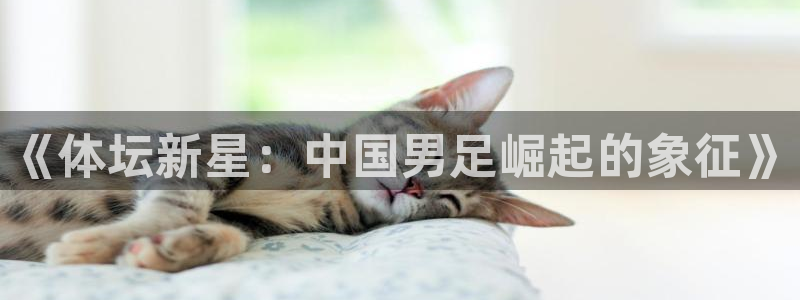 k1体育十年品牌值得信赖网址：《体坛新星：中国男足崛起的象征》