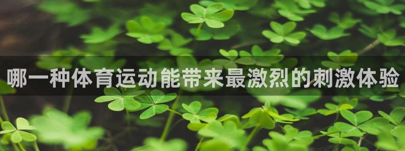 帮k1体育在线登录