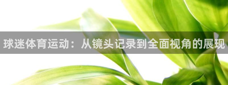 k1体育棋牌：球迷体育运动：从镜头记录到全面视角的展现