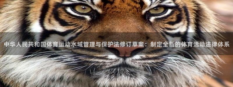 k1体育下载链接：中华人民共和国体育运动水域管理与保护法修订草案：制定全新的体育活动法律体系