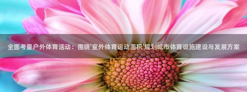 k1体育下载地址：全面考量户外体育活动：围绕\'室外体育运动面积\'规划城市体育设施建设与发展方案
