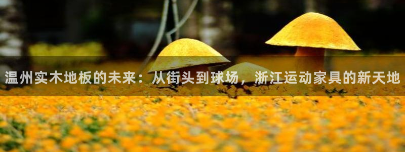 k1体育网址是多少：温州实木地板的未来：从街头到球场，浙江运动家具的新天地