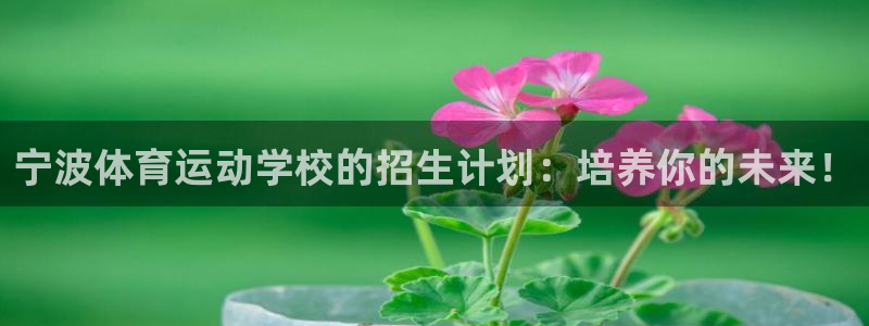 k1体育 十年品牌：宁波体育运动学校的招生计划：培养你的未来！