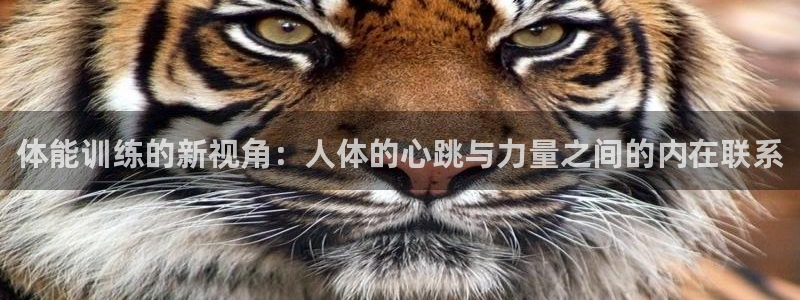 k1体育娱乐：体能训练的新视角：人体的心跳与力量之间的内在联系