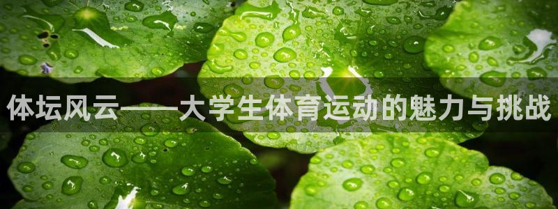 k1体育十年品牌