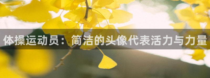 k1体育链接：体操运动员：简洁的头像代表活力与力量