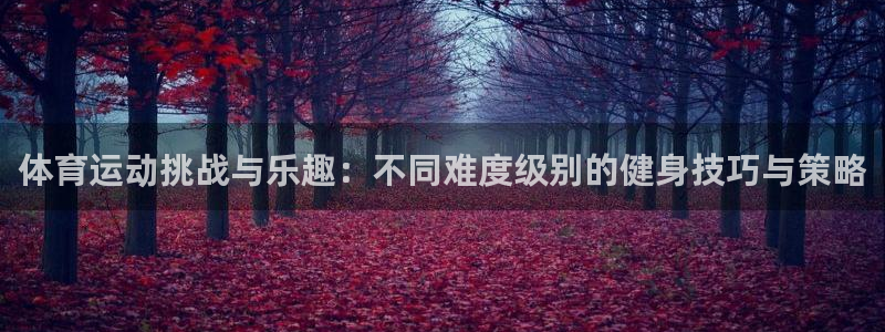 k1体育链接：体育运动挑战与乐趣：不同难度级别的健身技巧与策略