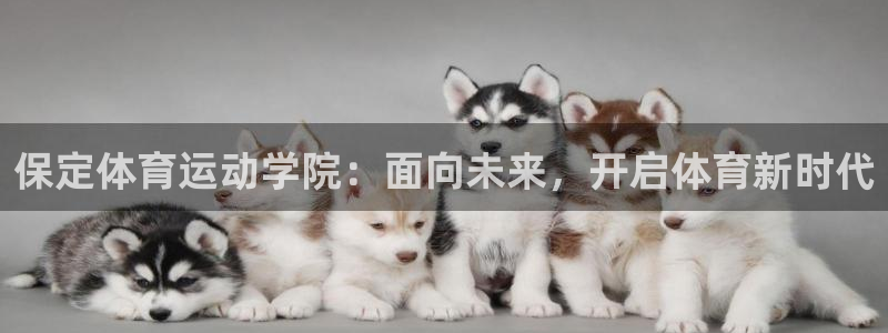 k1体育下载链接：保定体育运动学院：面向未来，开启体育新时代