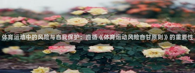 k1体育网站登录官网：体育运动中的风险与自我保护：遵循《体育运动风险自甘原则》的重要性