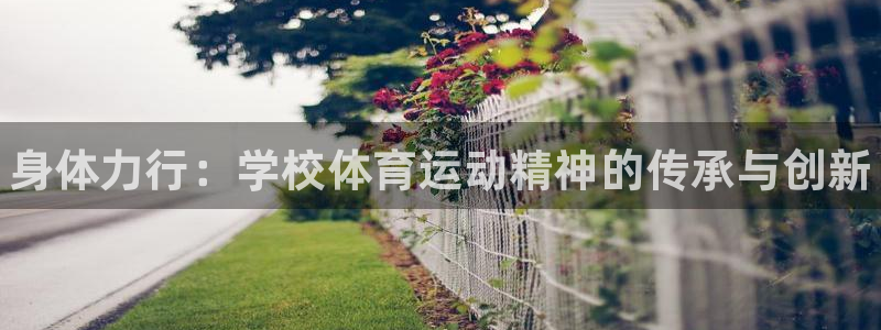k1体育十年品牌：身体力行：学校体育运动精神的传承与创新