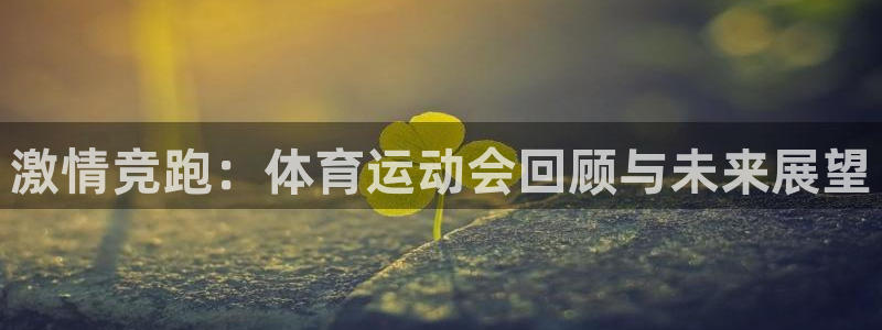 k1体育平台3915：激情竞跑：体育运动会回顾与未来展望