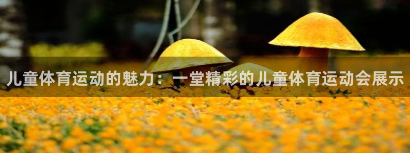 k1体育棋牌：儿童体育运动的魅力：一堂精彩的儿童体育运动会展示