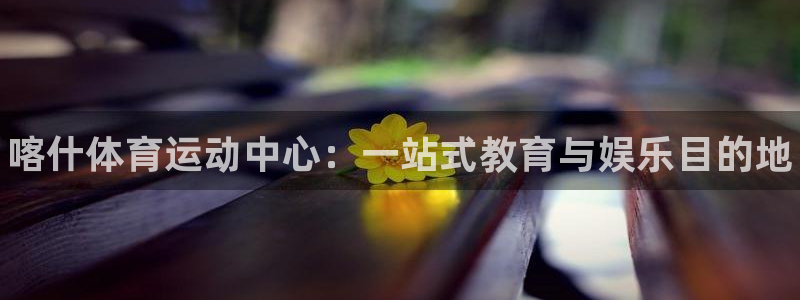k1体育app：喀什体育运动中心：一站式教育与娱乐目的地