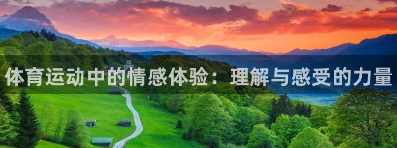 k1体育网站登录官网