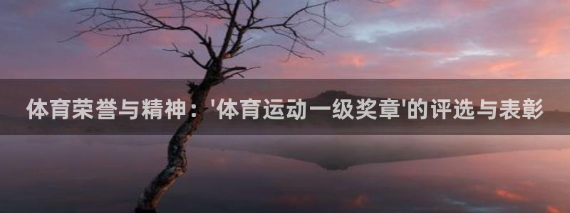 k1体育十年登录入口：体育荣誉与精神：\'体育运动一级奖章\'的评选与表彰