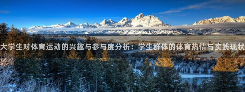 k1体育十年品牌官网：大学生对体育运动的兴趣与参与度分析：学生群体的体育热情与实践现状
